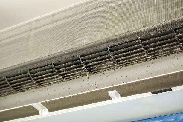 Best HVAC Air Duct Cleaning  in Moscow, PA